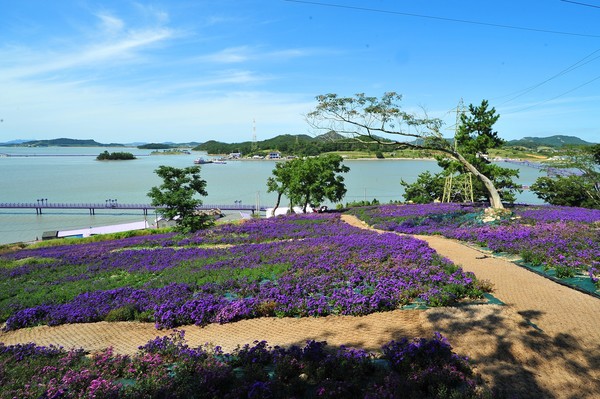 자료제공: 가고싶은섬지원단 지원담당