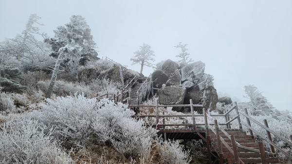 지난 8일 내린 비와 추운 날씨의 영향으로 지리산 천왕봉을 포함한 주 능선 일대에 새하얀 상고대가 피어 절경을 연출했다. / 사진=지리산국립공원경남사무소