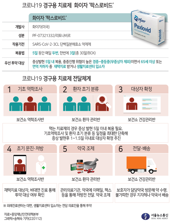 먹는 코로나 치료제 내일 도착… 14일부터 처방 및 투약. / 그래픽=송혜숙 기자