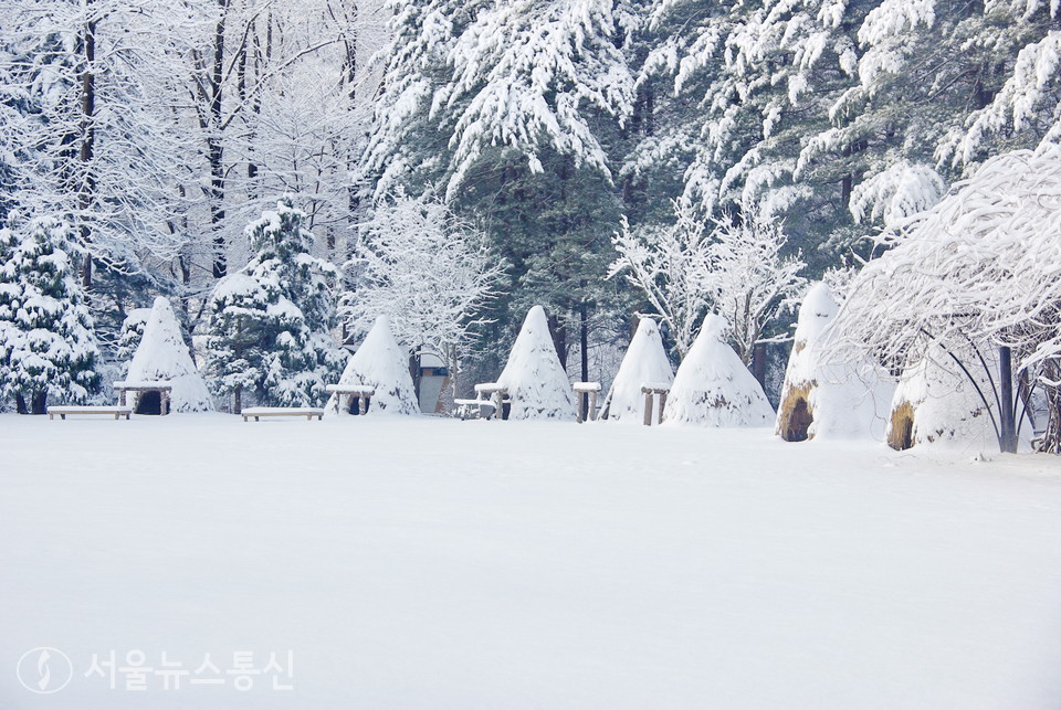 춘천 '남이섬'이 임인년(壬寅年) 새해를 맞아 오는 29일부터 2월 2일까지 설 연휴 이벤트를 진행한다고 28일 밝혔다.