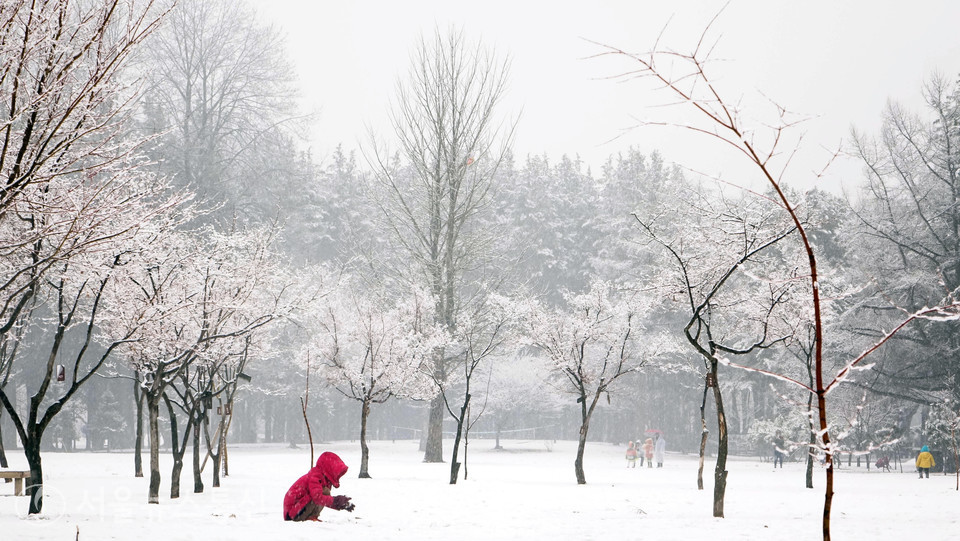 춘천 '남이섬'이 임인년(壬寅年) 새해를 맞아 오는 29일부터 2월 2일까지 설 연휴 이벤트를 진행한다고 28일 밝혔다.