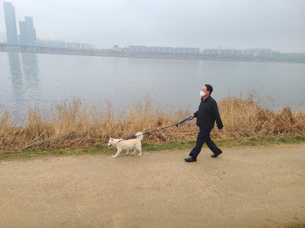 윤석열 대통령 당선인이 이날 오후 반려견 토리와 한강공원에서 산책을 하며 주민들과 만남의 기회를 가졌다. 2022.3.13/사진=국민의힘