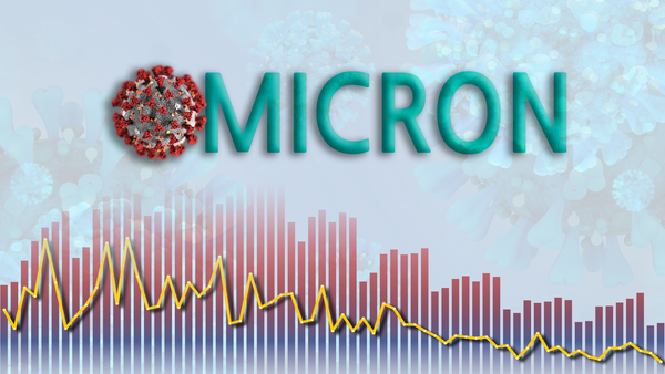 중앙방역대책본부는 3일 정부서울청사에서 열린 코로나19 정례브리핑에서 "미국에서 빠르게 확산중인 오미크론 하위변이 'BA.2.12.1'의 국내 감염이 첫 확인됐다"고 밝혔다. / 그래픽=송혜숙 기자