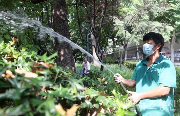 14일 상하이 징안(靜安)구의 한 조경관리사가 식물에 물을 주고 있다. 최근 상하이에 연일 폭염이 이어지자 관련 부서에서는 노동자의 건강을 위해 ▷근무시간 탄력 운영 ▷휴게시간 확대 ▷음료 지급 등 조치를 내놓았다. 신화통신