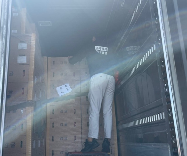 ▲여객선 검문검색