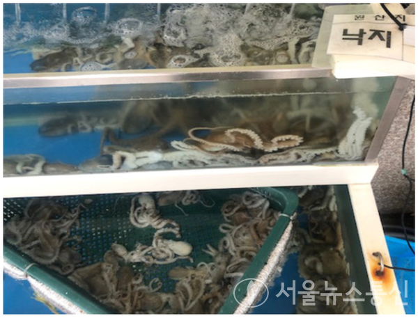 사진 = 서울뉴스통신 DB