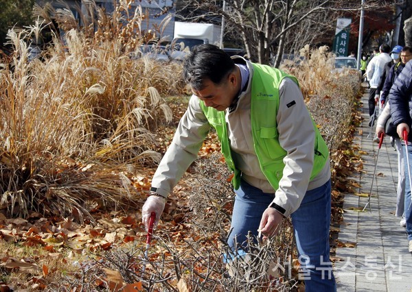 서울시의회 박환희 운영위원장(국민의힘, 노원2, 대한민국시도운영위원장협의회장)은 지난 11월 26일 오전, ‘유네스코 세계문화유산 조선왕릉 태릉연지(습지)보존 위한 플로깅 걷기대회’와 ‘청소년 환경표어경연·걷기대회’를 동시에 개최했다. (사)유라시아그린이니셔티브과 공동주최한 이번 행사에는 (사)서울미래교육연구원과 태릉역사문화안보생태특구지정 범시민운동본부가 주관하며, 행정안전부와 환경미디어, 더스타트가 후원한다. 사진은 서울시의회 박환희 운영위원장이 쓰레기를 줍고 있다. (사진 서울시의회 출입기자단)