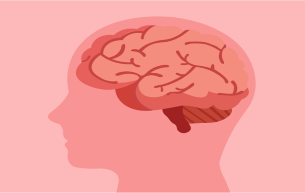 오래 앉아 있더라도 주 2~3일 이상 중등도 이상의 신체활동을 꾸준히 하면 심뇌혈관질환 위험이 50% 감소한다. / 사진 = 아주대