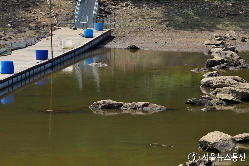 경기도 광주시 도척면 유정낚시터. 녹조에 찌든 물과 영업을 하지 못해 방치된 낚시 집기류들이 덩그러니 흩어져있다. 2023.6.30./서울뉴스통신 (사진 이민희 기자)