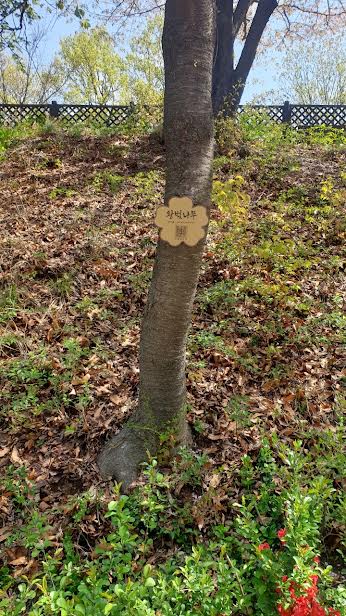 큐알 안내 간판/사진=고양시