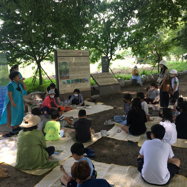 올 여름 긴 장마와 무더위로 지친 일상을 신비롭게 보내고 싶다면 운봉 서어나무 숲을 찾아가 보자.