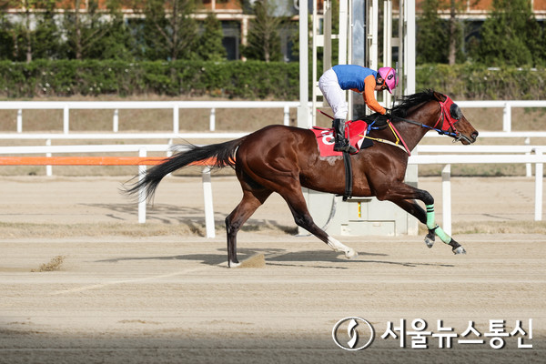 위너스맨(레이팅 138, 한국, 수, 5세, 부마:머스킷맨(미), 모마:위너스마린(한), 마주:이경희, 조교사:최기홍)