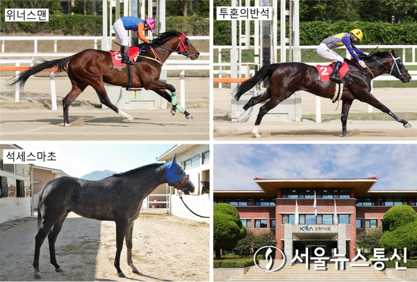 제38회 KRA컵 클래식(G2) 대상경주 / 사진 = 한국마사회