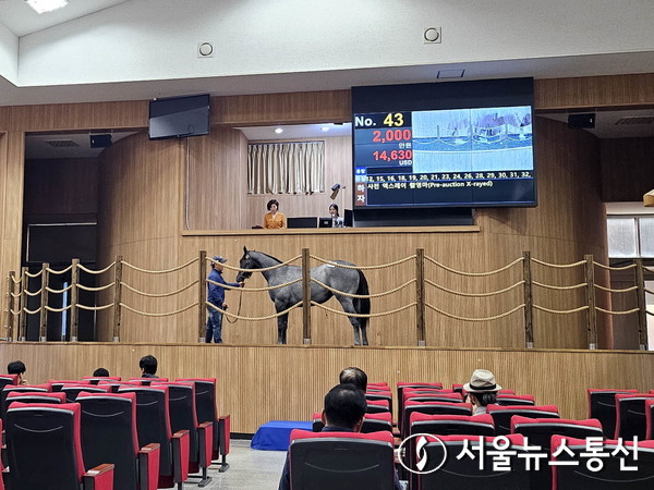 1세마 경마 현장 / 사진 = 한국마사회
