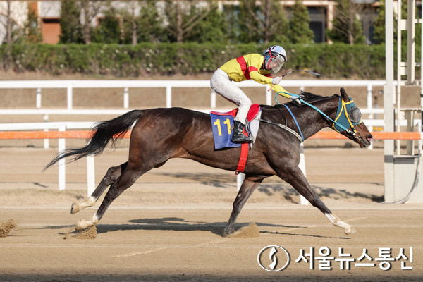 어디가나(5세, 레이팅 85, 에스지이건설 마주, 김윤섭 조교사, 승률 23.8% %, 복승률 28.6%)