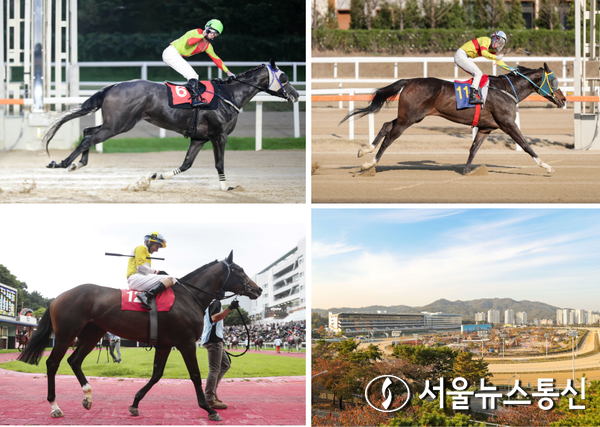 오는 29일 렛츠런파크 부산경남에서 5경주로 ‘제17회 경상남도지사배(G3, 2000m, 3세 이상, 국산 암말 한정, 총상금 5억 원)’ 대상경주가 펼쳐진다. / 사진 = 한국마사회