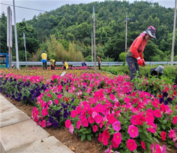 ▲마을 화단 조성사업(사진 = 진도군)