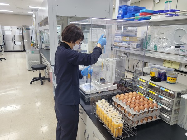 경기도가 계란에 대한 소비자 불안감 해소와 신뢰도 제고를 위해 ‘2024년 계란 안전성 검사’를 추진한다. [사진=경기도]