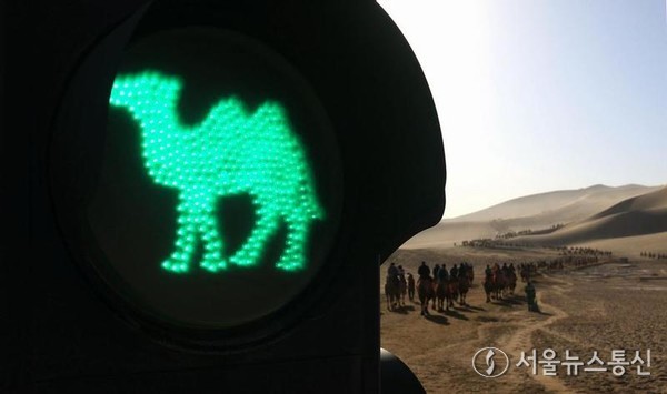 지난해 10월 2일 웨야취안 관광지에서 포착한 '낙타 신호등'. (사진/신화통신)