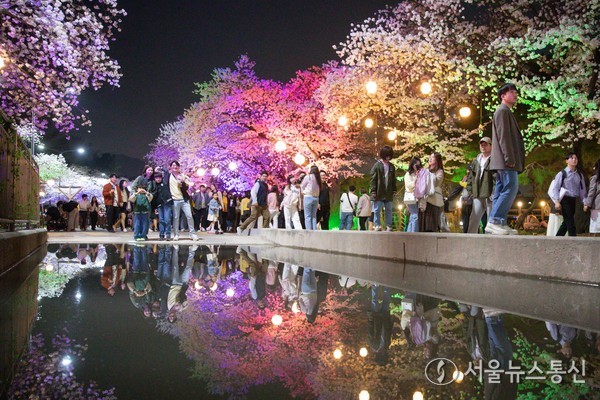 야간경마와 함께하는 한국마사회 벚꽃축제 / 사진 = 한국마사회