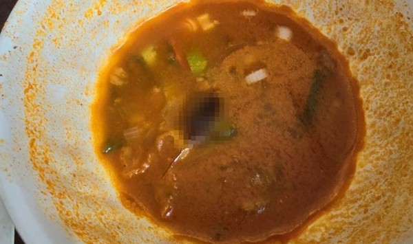 중국집에서 짬뽕을 먹다 바퀴벌레가 나왔는데 사장이 "볶음밥값을 빼주겠다"는 제안을 했다는 사연이 온라인상에서 화제다. / 사진 = 온라인커뮤니티 갈무리