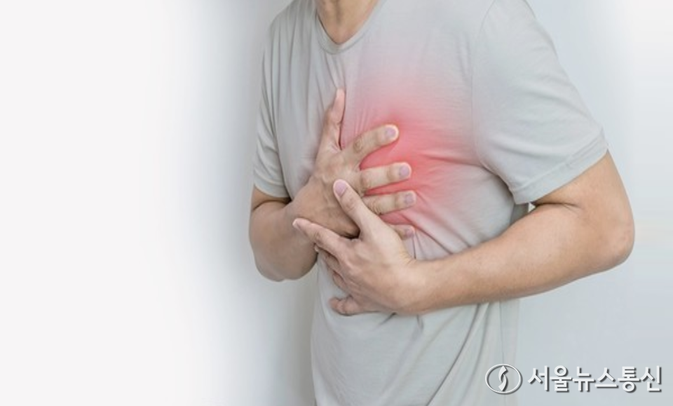 봄철 야외활동을 늘리면 돌연사의 원인이 되는 심근경색에 노출될 위험도 함께 높아지고있다. (심근경색증) / 사진 = 서울뉴스통신 DB