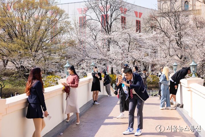 따뜻한 봄날씨를 보인 2일 서울 송파구 롯데월드 어드벤처 인근에 벚꽃이 피어나 시민들이 기념촬영 하고 있다. (2024.04.02) / 사진 = 롯데월드 어드벤처 제공