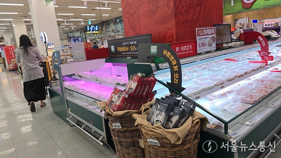 서울의 한 대형마트에서 삼계탕 재료인 닭고기을 팔고 있다. / 사진= 서울뉴스통신 최정인 기자