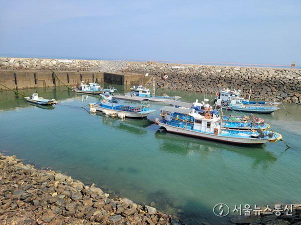 저조시에 바라본 방아머리항 전경