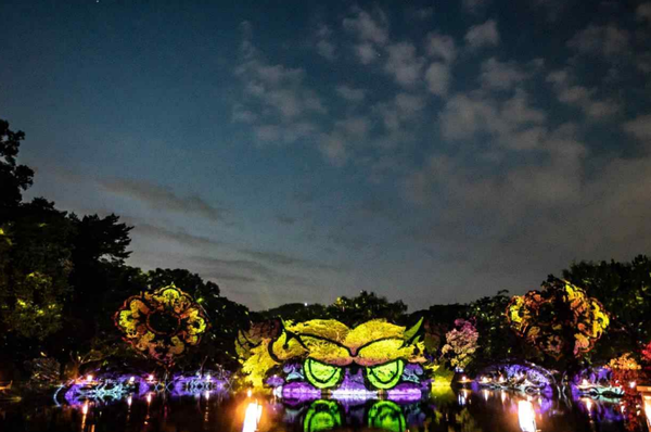 창경궁 물빛연화 / 국가유산청 제공