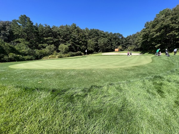 페럼클럽 코스 내 러프 (KPGA 사진제공)