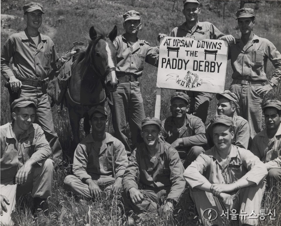 한국전쟁에서 활약한 호국영웅 제주마 '레클리스'와 부대원들
