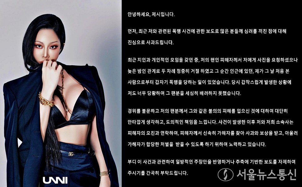 가수 제시에게 사진 촬영을 요청했다가 그 일행에게 폭행 당한 사건과 관련해 제시가 자신의 SNS에 올린 글 (2024.10.12) / 사진 = 제시 SNS r갈무리