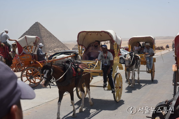 이집트 문명의 유산은 오늘날까지도 많은 분야에서 영향을 미치고 있다. 고대 이집트의 건축과 예술, 종교적 사상은 오늘날에도 세계 문화와 역사에 큰 영향을 미치며, 고대 문명 연구자들에게 끊임없는 영감을 주고 있다. 특히 이집트의 피라미드와 왕들의 무덤은 세계 7대 불가사의 중 하나로 여겨지고, 매년 수많은 관광객들이 이집트를 방문하여 고대 문명의 흔적을 직접 경험하고 있다. (사진 이집트 기자 피라미드, 이민희 기자)