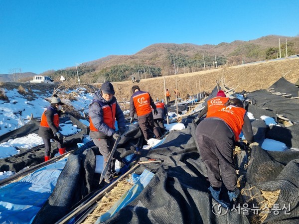 이천시 인삼밭 시설물 해체 및 정리 작업 / 남양주시자원봉사 센터 제공