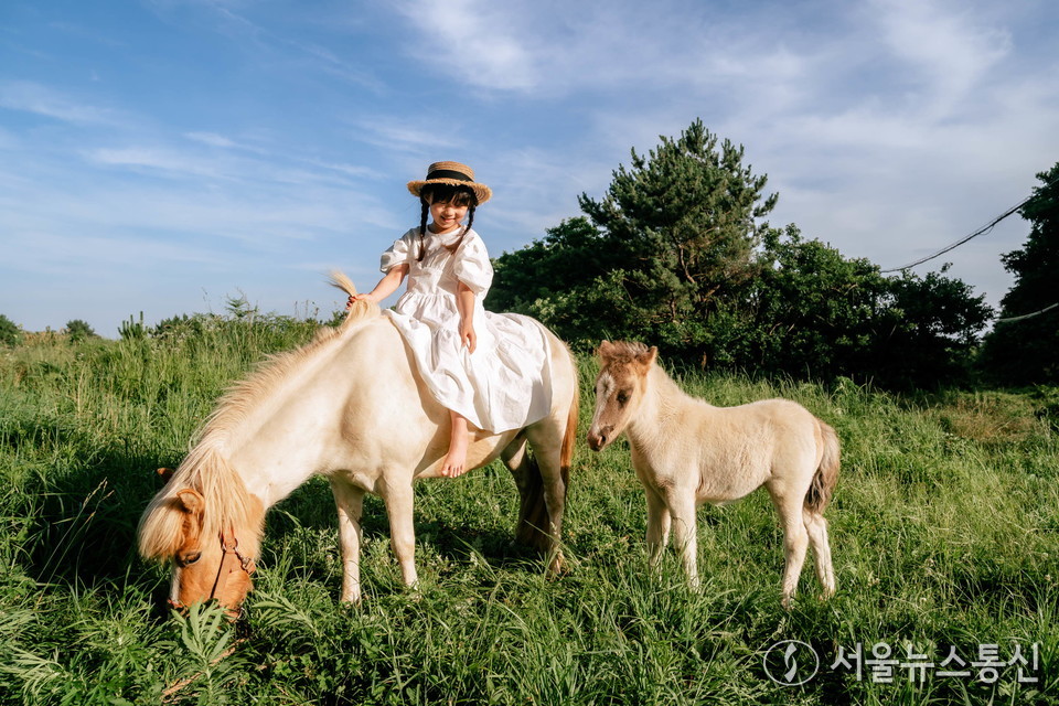 우수상 작_배영진-함께 그리고 동행 / 사진 = 한국마사회
