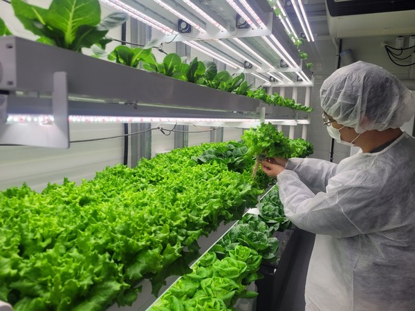 스마트팜 수직 농장 / 사진 = 고양시