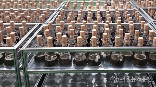 ㅂㅂㅂㅂㅂㅂㅂㅂㅂㅂㅂㅂㅂㅂㅂㅂㅂㅂㅂㅂㅂㅂㅂㅂㅂㅂㅂㅂㅂㅂㅂㅂㅂㅂㅂㅂㅂㅂㅂㅂㅂㅂㅂㅂㅂㅂㅂㅂㅂㅂㅂㅂㅂㅂㅂㅂㅂㅂㅂㅂㅂㅂㅂㅂㅂㅂㅂㅂㅂ이재화 연구소가 ‘흔들 발효 배양’ 기술을 개발해 진세노사이드, 후코이단, 아데노신, 코디세핀 등 특정 영양성분 물질에 대한 발효 배양에 성공했다. / 사진제공 이재화 연구소