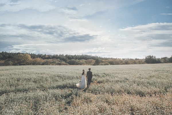 제주 메밀 청초밭 /제주관광공사 