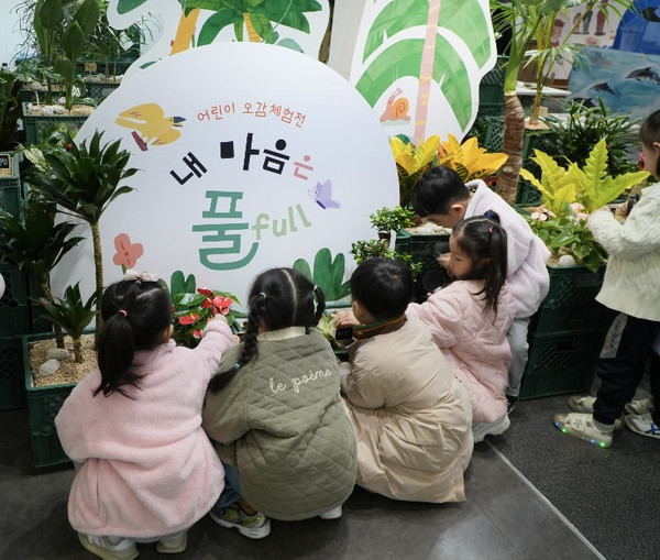 이미지 미리보기
