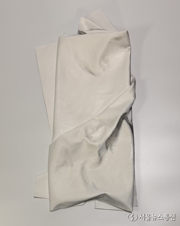 ▲추은영 작(사진 = 학고재 아트센터)