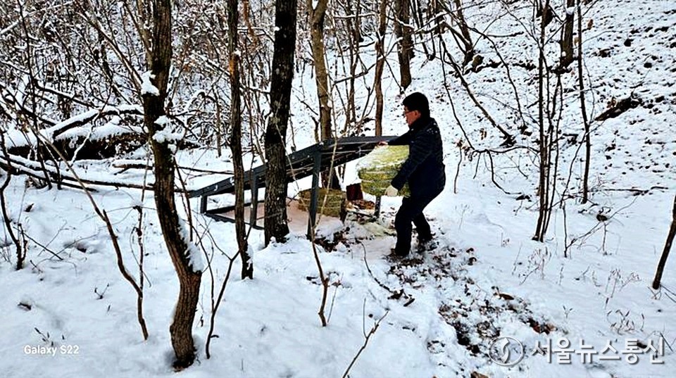 산양 고립·동사 방지를 위한 민통선 내 산양 쉼터 설치 및 먹이공급 (2024.12.27) / 사진 = 국가유산청 제공
