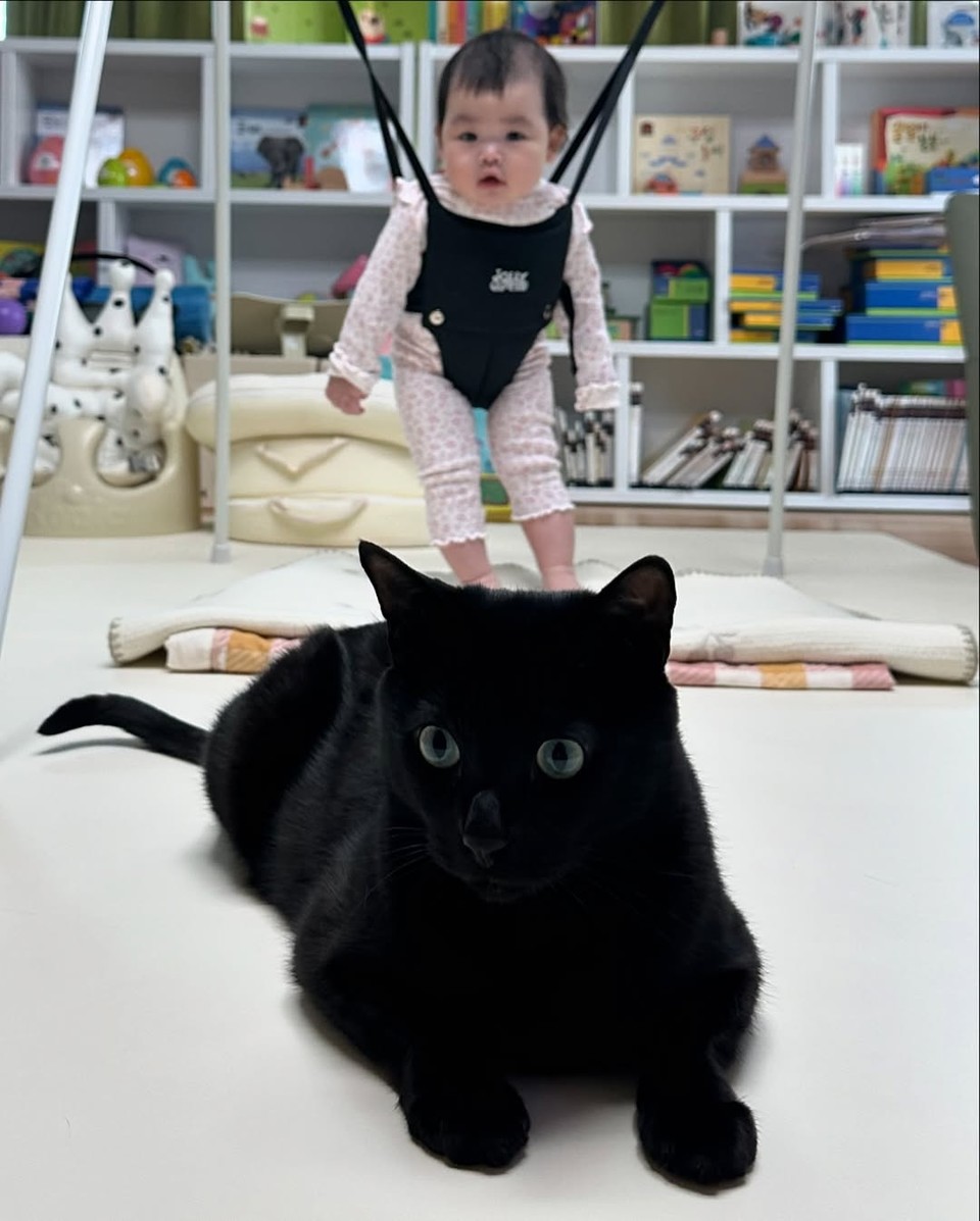 사진 = 박수홍 인스타그램 갈무리