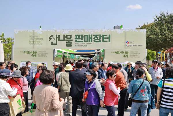 경북도는 북부권역 지역민들의 고통을 덜고, 경제적 활력을 되찾기 위해 관광을 지역 회복의 중심축으로 삼고, 대규모 관광 회복프로젝트을 통해 피해지역의 온기를 불어넣고 지역경제에 생기를 회복시키기 위한 본격적인 지원에 나설 전망이다.