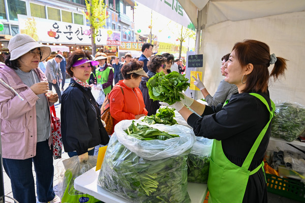 양평 산나물을 상인이 판매하고 있다 [사진=양평군]