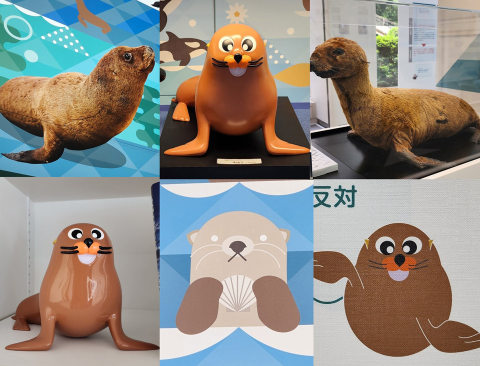 전시관 곳곳에서 독도 강치를 활용한 전시 / 사진 = 서경덕교수팀 제공