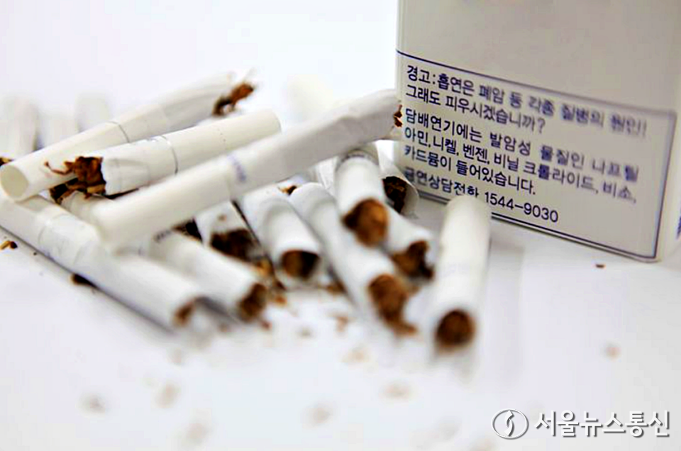 담배를 피운 사람은 비흡연자에 비해 폐암 발생 위험이 5배 이상, 소세포폐암은 무려 54배 이상 높다는 연구 결과가 나왔다. (담배_2024.12.31) / 사진 = 고려대학교 안암병원 제공