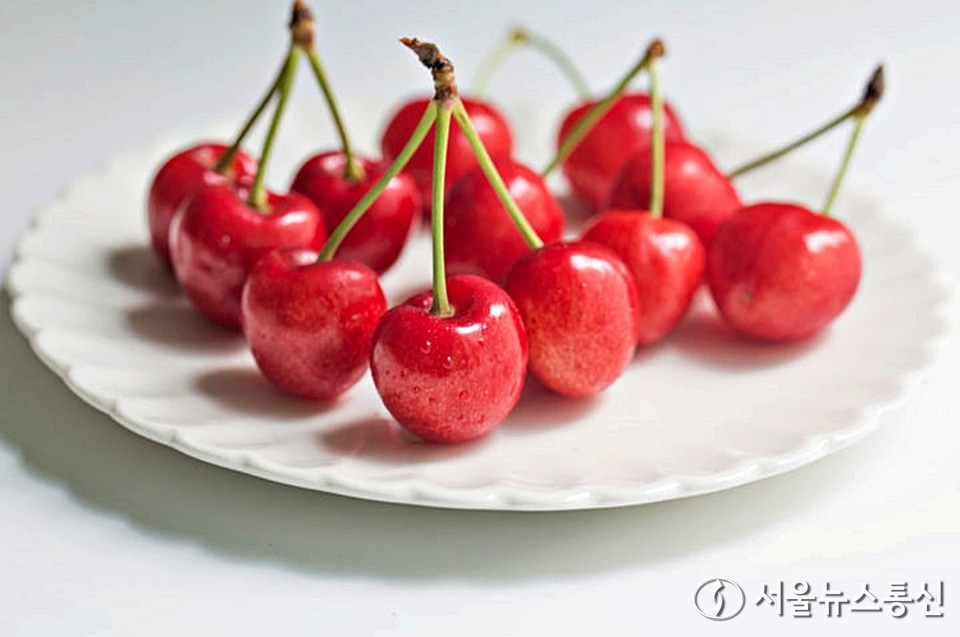 타트체리. / 사진 = 유토이미지