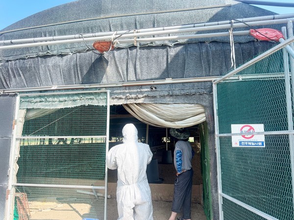 경남도는 고병원성 조류인플루엔자(AI) 발생 위험이 높은 동절기를 대비하여 도내 가금농가의 방역시설 운영실태를 재점검하는 등 방역 강화에 나선다고 밝혔다.