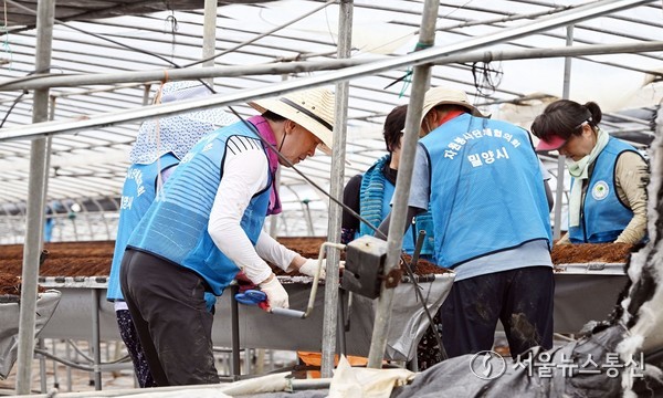 안병구 밀양시장(왼쪽)이 13일 초동면에서 호우와 돌풍으로 피해를 입은 시설하우스 철거 작업에 참여하고 있다.